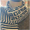 North Texas Yarn Crawl Scarf - Life in the Long Grass DK Twist - Knit