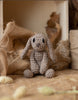 Mini Emma the Bunny Edward's Menagerie Crochet Kit