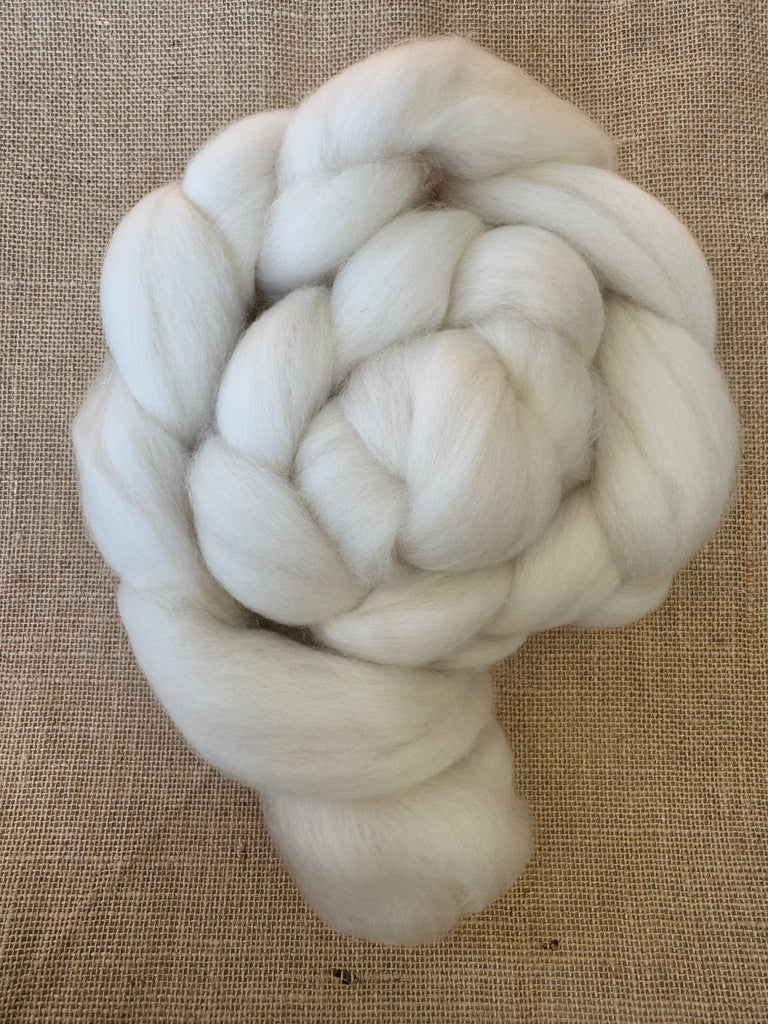 Falkland Combed Top 4oz Braids