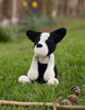 Barney the Boston Terrier Edward's Menagerie Crochet Kit