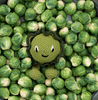 Brussels Sprout Kit