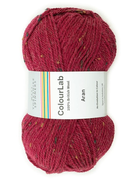 WYS Colour Lab Aran