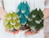 Evergreen Needle Felting Kit