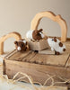 Mini Guinea Pigs Kit