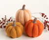 Pumpkin Trio Mini Needle Felting Kit