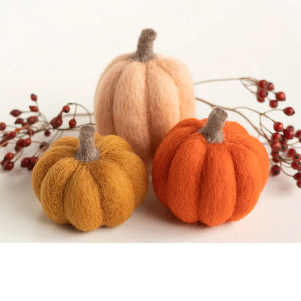 Pumpkin Trio Mini Needle Felting Kit