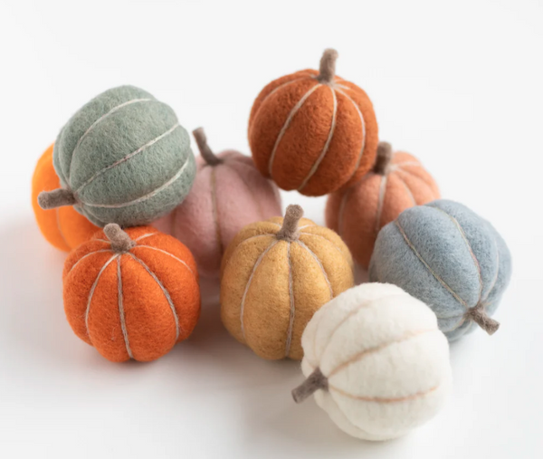 Pumpkin Party Needle Felting Kit