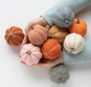 Pumpkin Party Needle Felting Kit