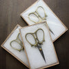 Squirrel Scissors
