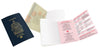 Passport Notebooks