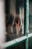 Strands of Joy - Anna Johanna