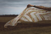 Birds of Feather Shawl