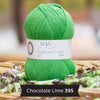 Signature 4 Ply Sock Yarn