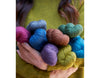Fleece Bluefaced Leicester DK