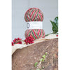 Signature 4 Ply Sock Yarn