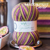 Signature 4 Ply Sock Yarn