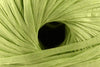 Yashi Raffia Yarn
