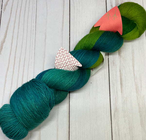 Rohrspatz & Wollmeise Twin – Quixotic Fibers