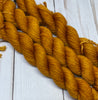 Pretty Minis - Smooshy with Cashmere Miniskein Club - Single Skeins