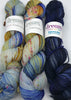 Butterfly / Papillon Shawl Kit - Dream in Color Smooshy with Cashmere
