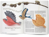 Taproot : Issue 51 : Imagine