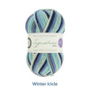 Signature 4 Ply Sock Yarn