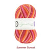 Signature 4 Ply Sock Yarn