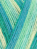 Signature 4 Ply Sock Yarn