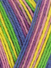 Signature 4 Ply Sock Yarn