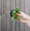 Mini Tortoise Kit