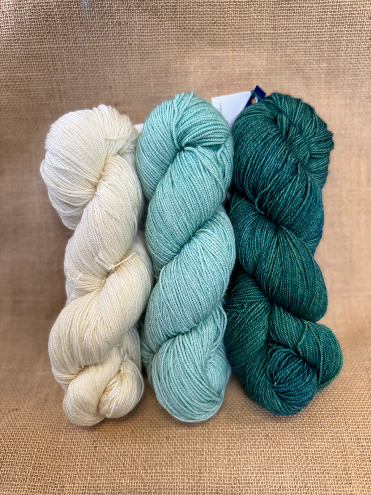 Casapinka Hiss and Vinegar MKAL 2025 - Malabrigo Sock - Water Green
