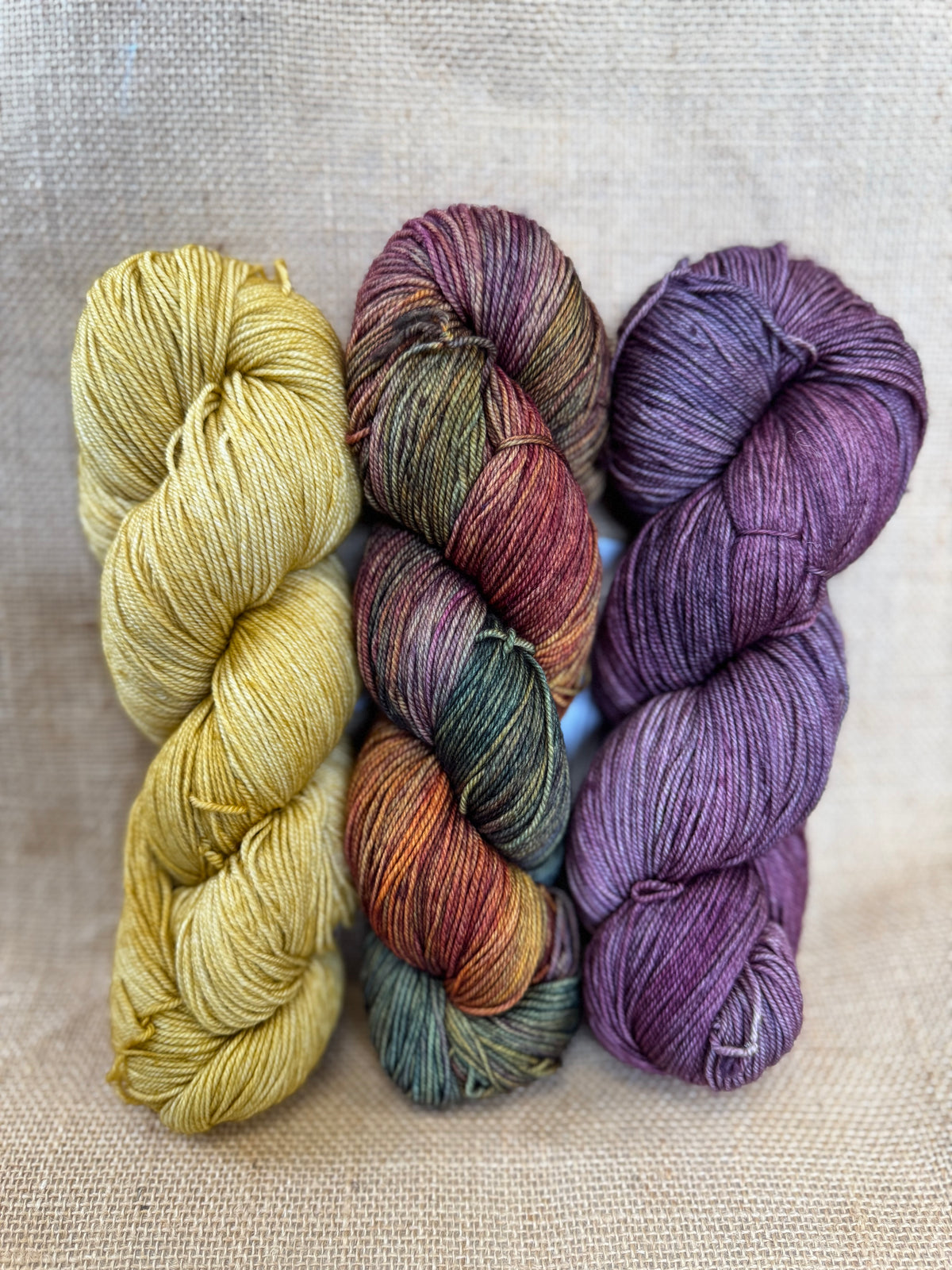 Casapinka Hiss and Vinegar MKAL 2025 - Malabrigo Sock - Piedras