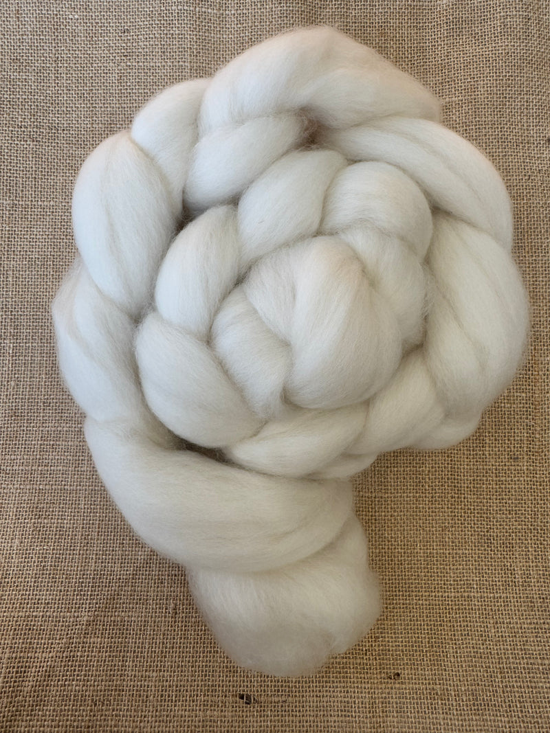 Falkland Combed Top 4oz Braids