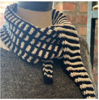 North Texas Yarn Crawl Scarf - Life in the Long Grass DK Twist - Knit