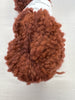 Wooly Paca
