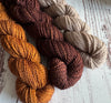 Beary Cozy Gnome Kit - Very Beary
