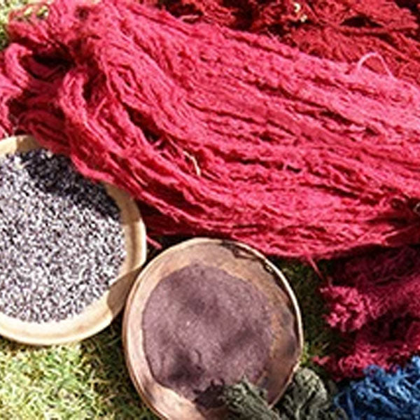 Cochineal Dye Workshop - October 24  1:00 -5:00 PM