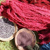 Cochineal Dye Workshop - October 24  1:00 -5:00 PM