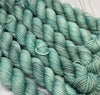 Pretty Minis - Smooshy with Cashmere Miniskein Club - Single Skeins