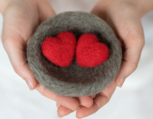 Love Nest Mini Needle Felting Kit