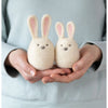 Bunny Friends Mini Needle Felting Kit