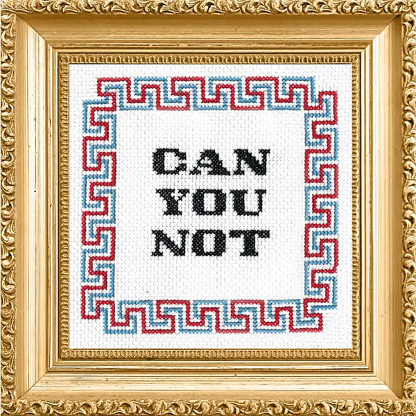 Can You Not Counted Cross Stitch Kit