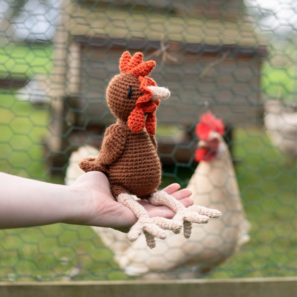 Hazel the Hen Crochet Kit