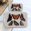 Enameled Notions Tin - Large