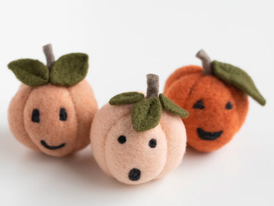Pumpkin Friends Needle Felting Kit