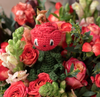 Mini Rose Kit