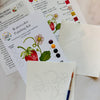 Watercolor Painting Kits