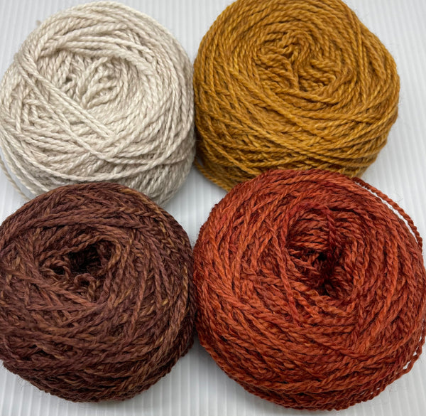 Brooks Mini-Skein Yarn Pack - Fall Colors 1