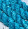 Pretty Minis - Smooshy with Cashmere Miniskein Club - Single Skeins