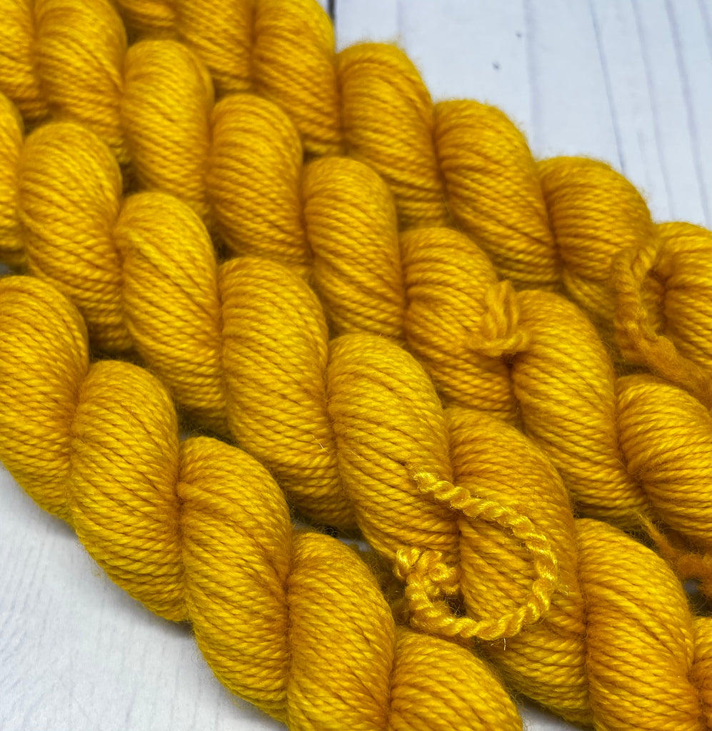 Pretty Minis - Smooshy with Cashmere Miniskein Club - Single Skeins